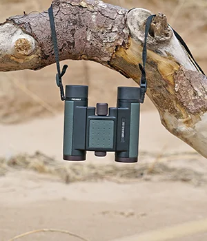Kowa binoculars hanging on a tree branch